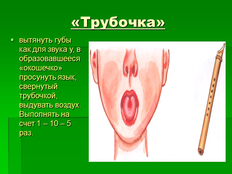 «Трубочка» вытянуть губы как для звука у, в образовавшееся «окошечко» просунуть язык, свернутый трубочкой,
